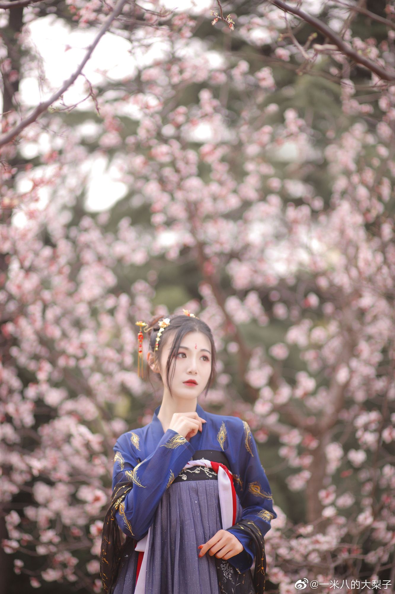 图片[6]-No.001-微博配图 [486P]-coswz-cos王者