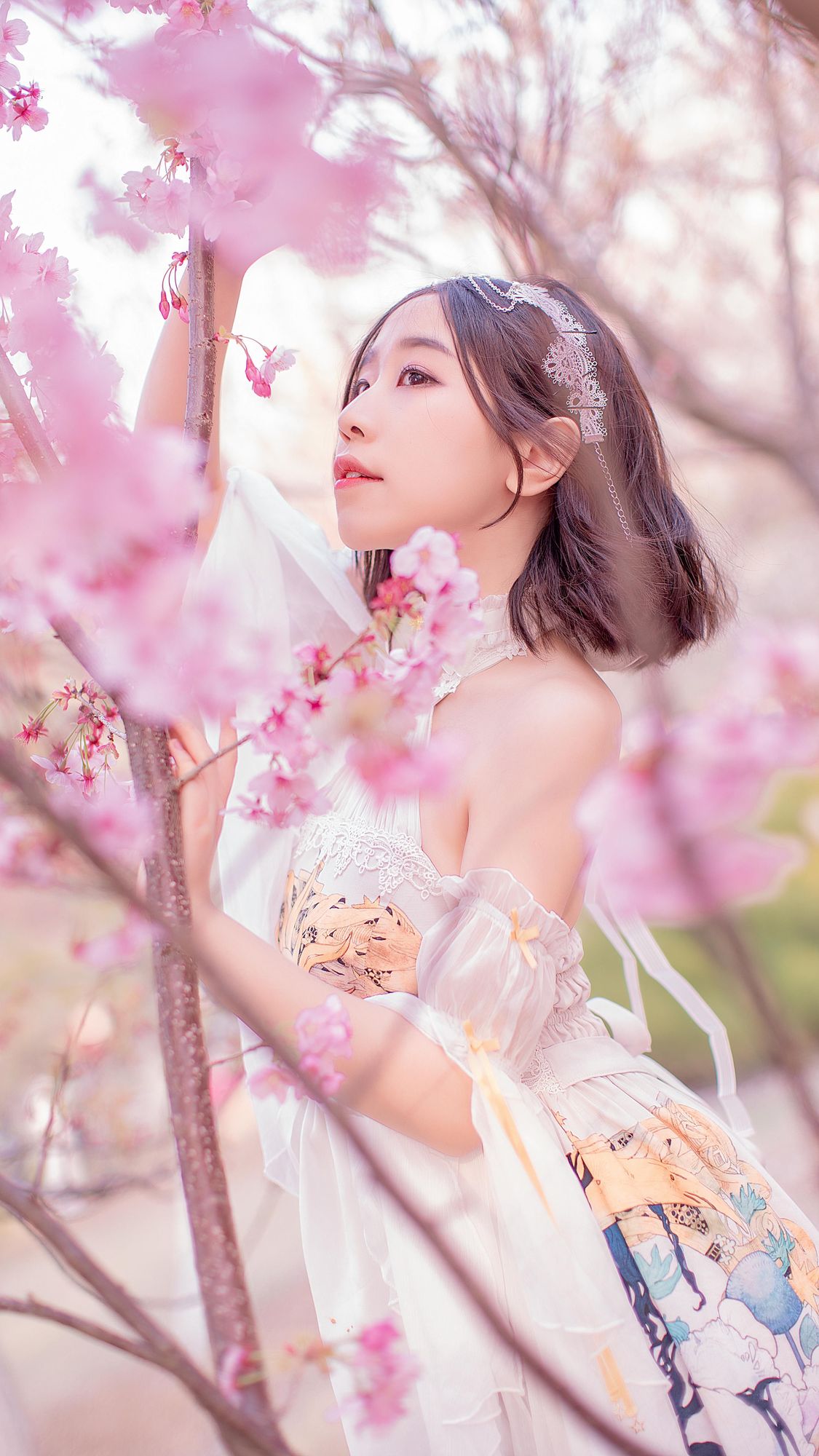 No.013-樱花盛开的季节 [19P]-coswz-cos王者