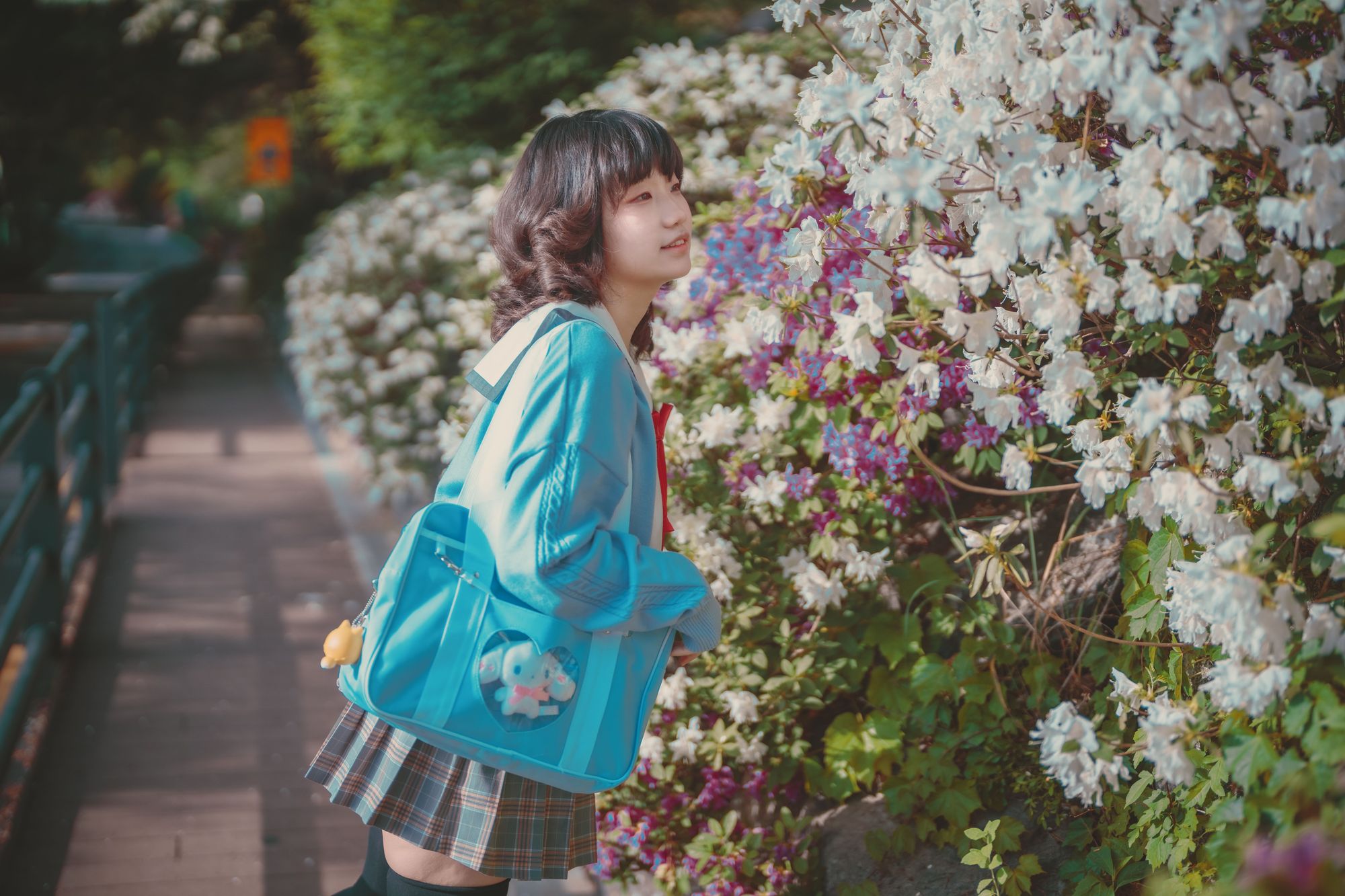 图片[268]-No.024-[DJAWA] Your Panties [325P]-coswz-cos王者