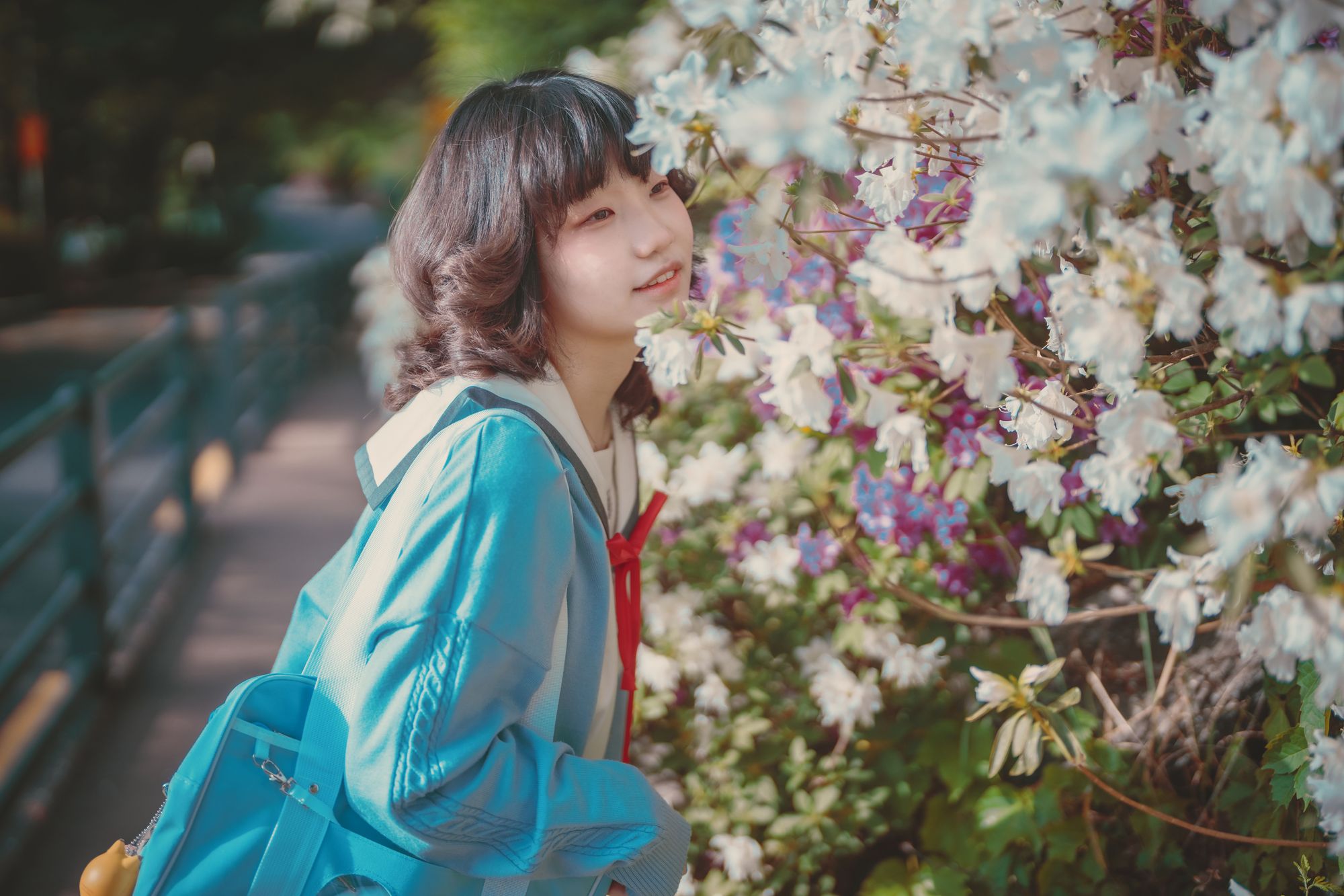 图片[266]-No.024-[DJAWA] Your Panties [325P]-coswz-cos王者