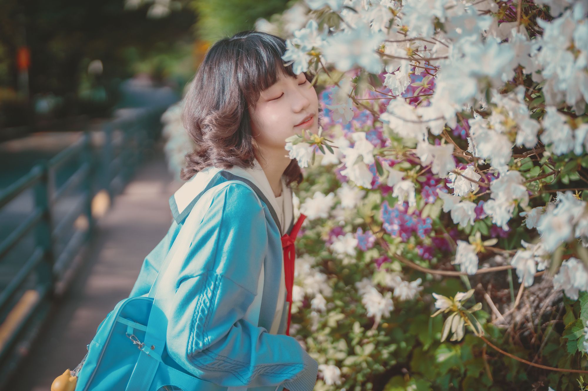 图片[265]-No.024-[DJAWA] Your Panties [325P]-coswz-cos王者