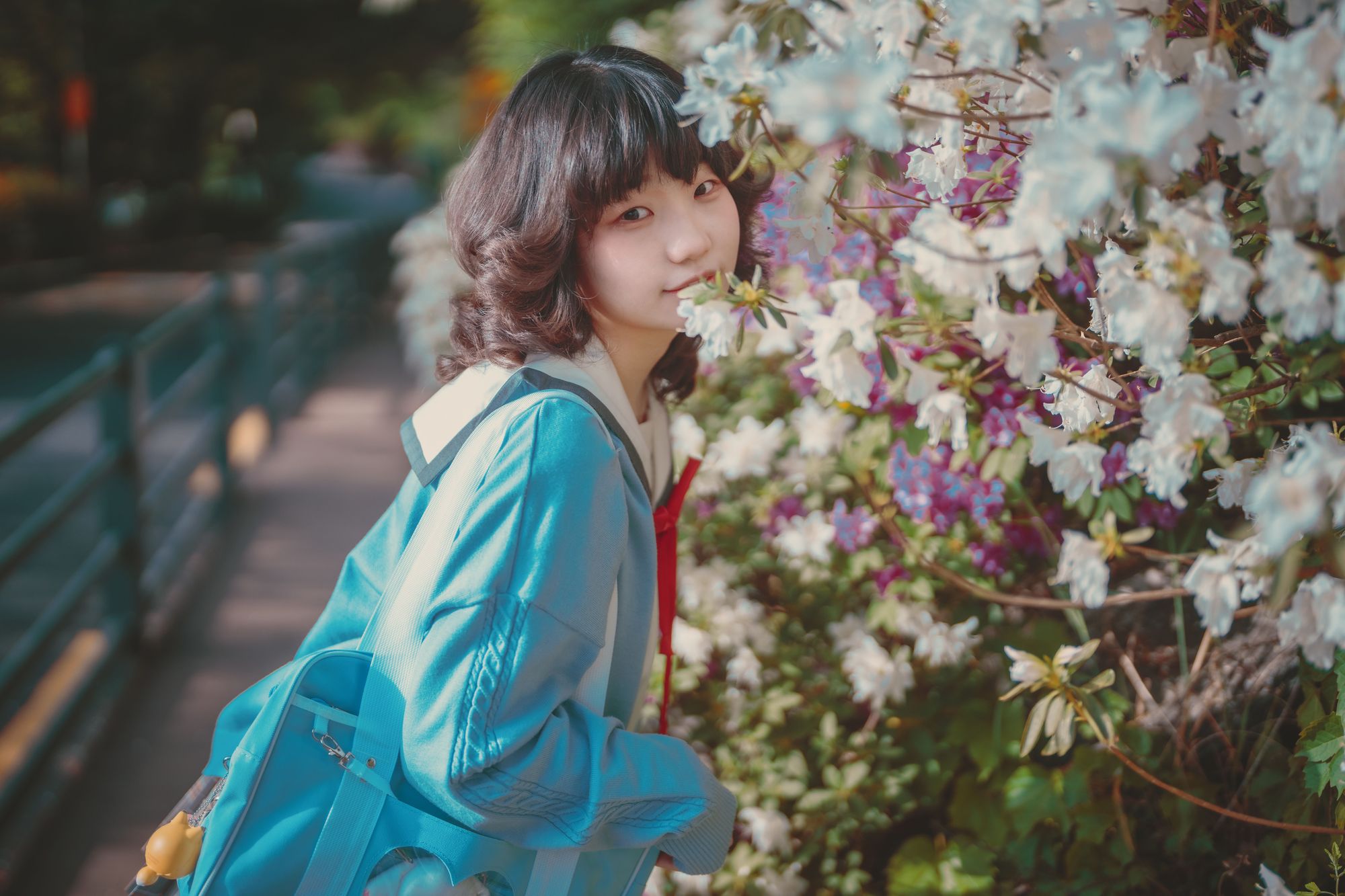 图片[264]-No.024-[DJAWA] Your Panties [325P]-coswz-cos王者