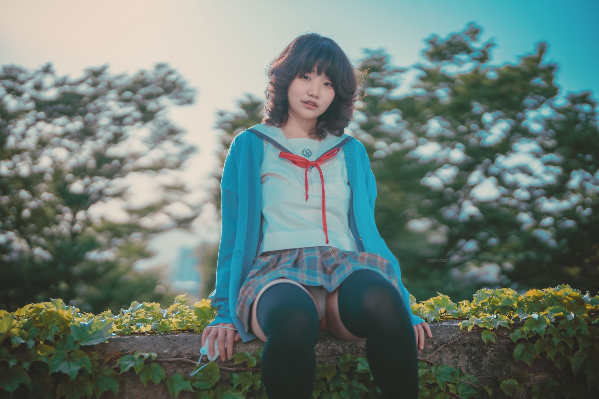 图片[250]-No.024-[DJAWA] Your Panties [325P]-coswz-cos王者