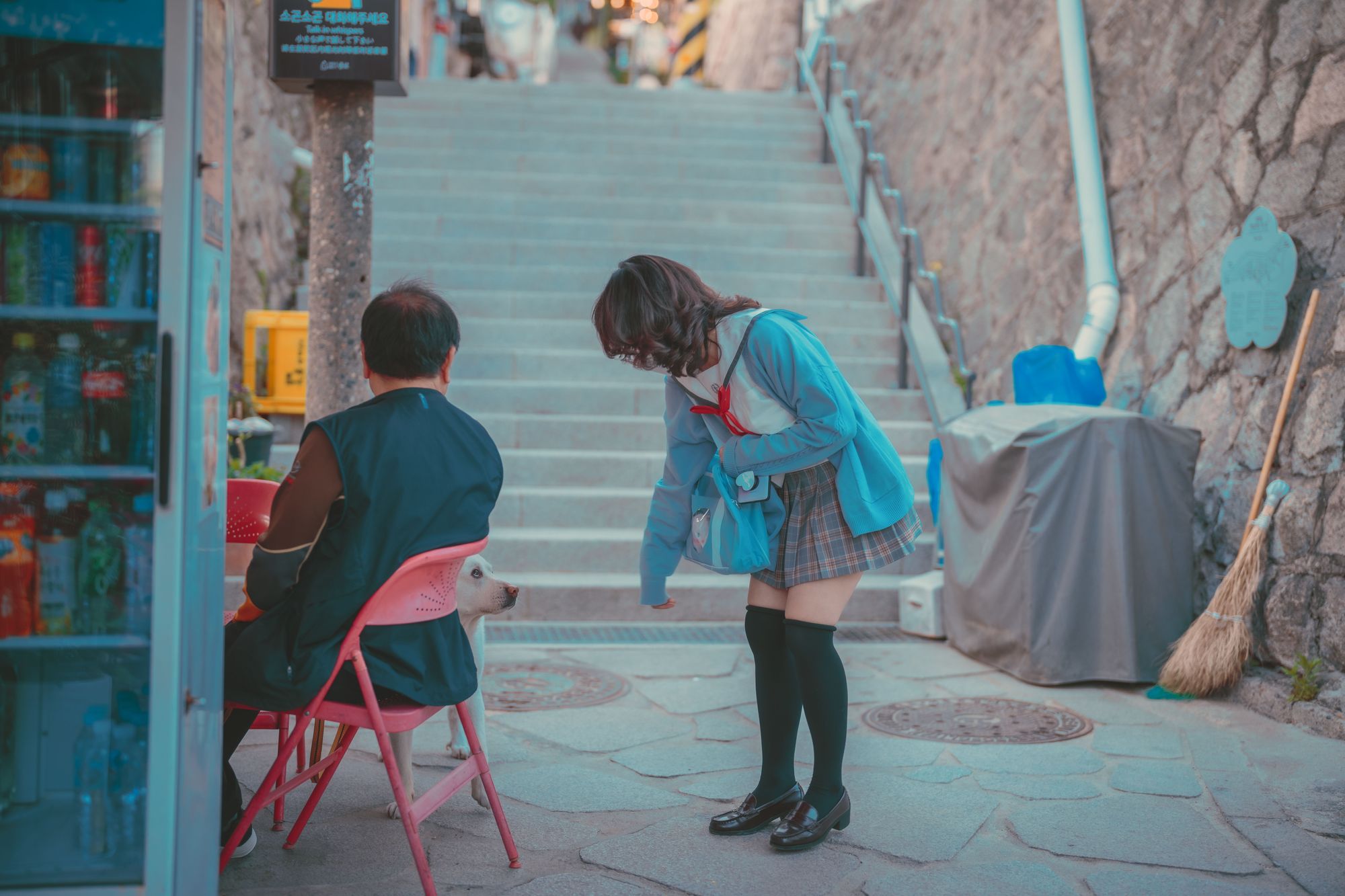 图片[188]-No.024-[DJAWA] Your Panties [325P]-coswz-cos王者