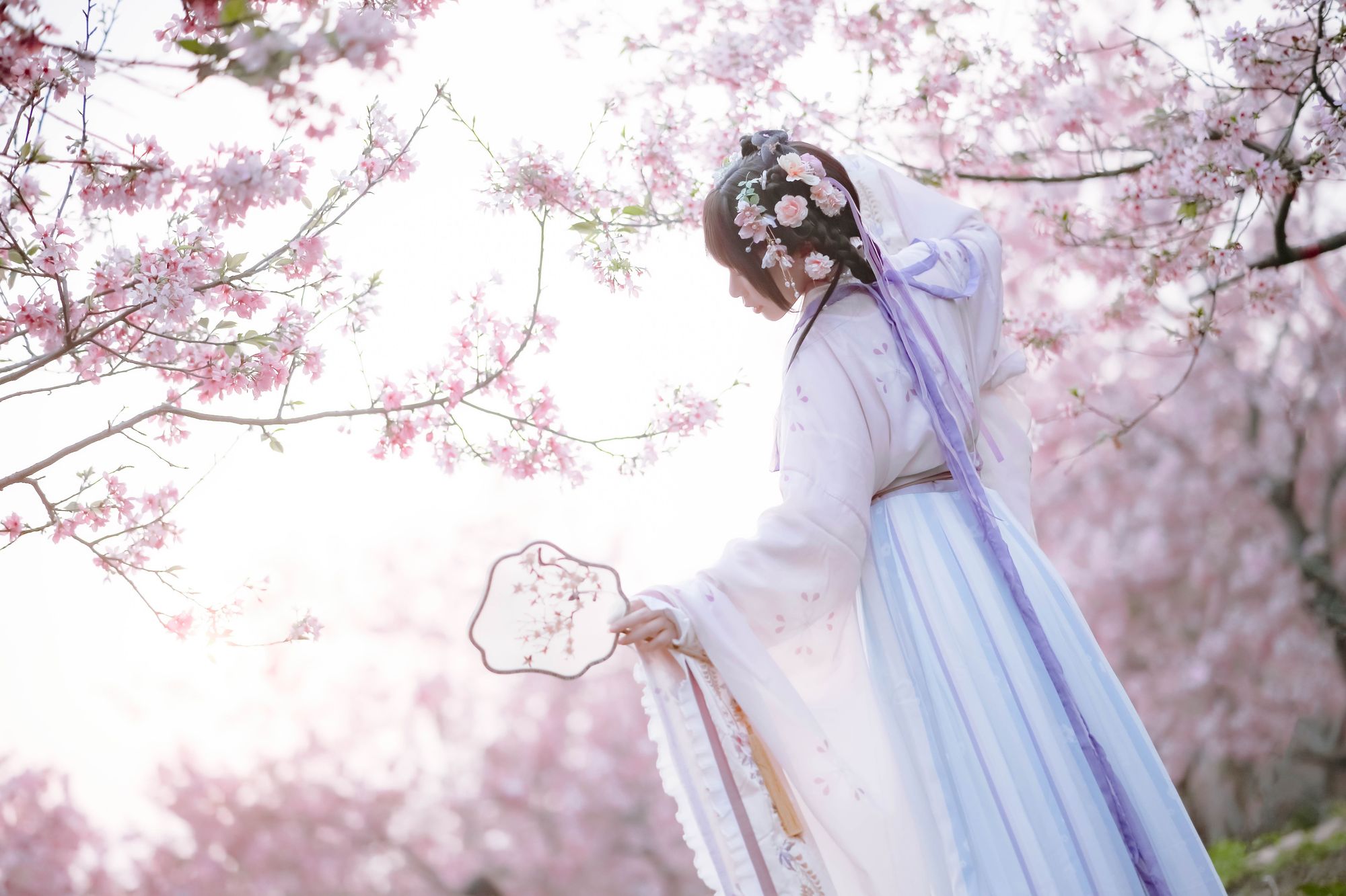 图片[6]-No.043-樱花汉服 花神祈愿 [52P]-coswz-cos王者