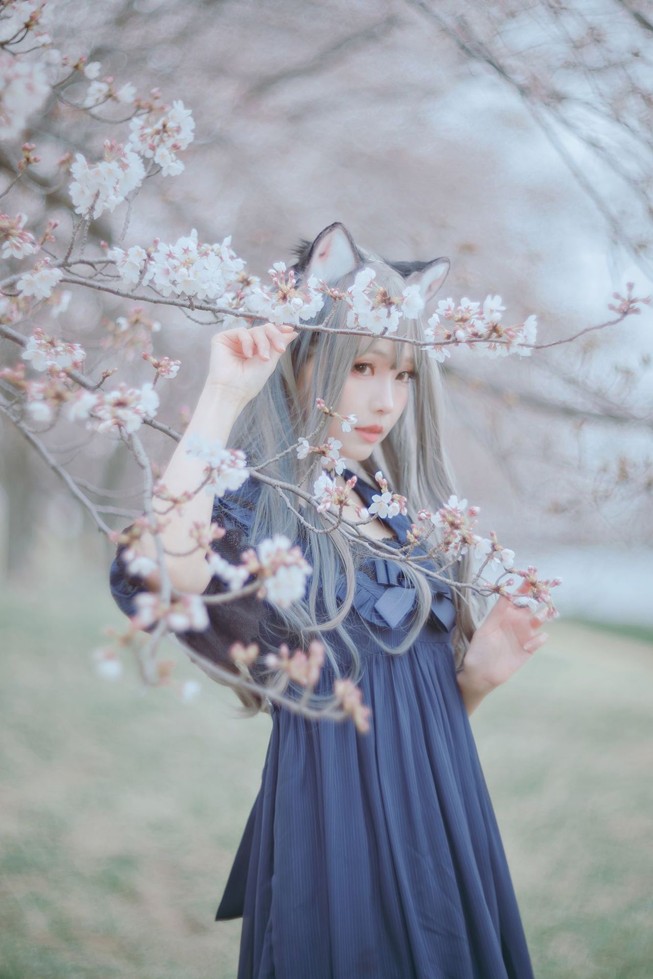 No.043-Sakura桜 2021 – 01.BLUE [22P]-coswz-cos王者