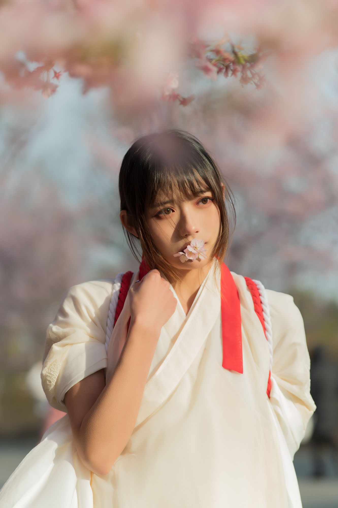 图片[6]-No.067-樱语 [27P]-coswz-cos王者