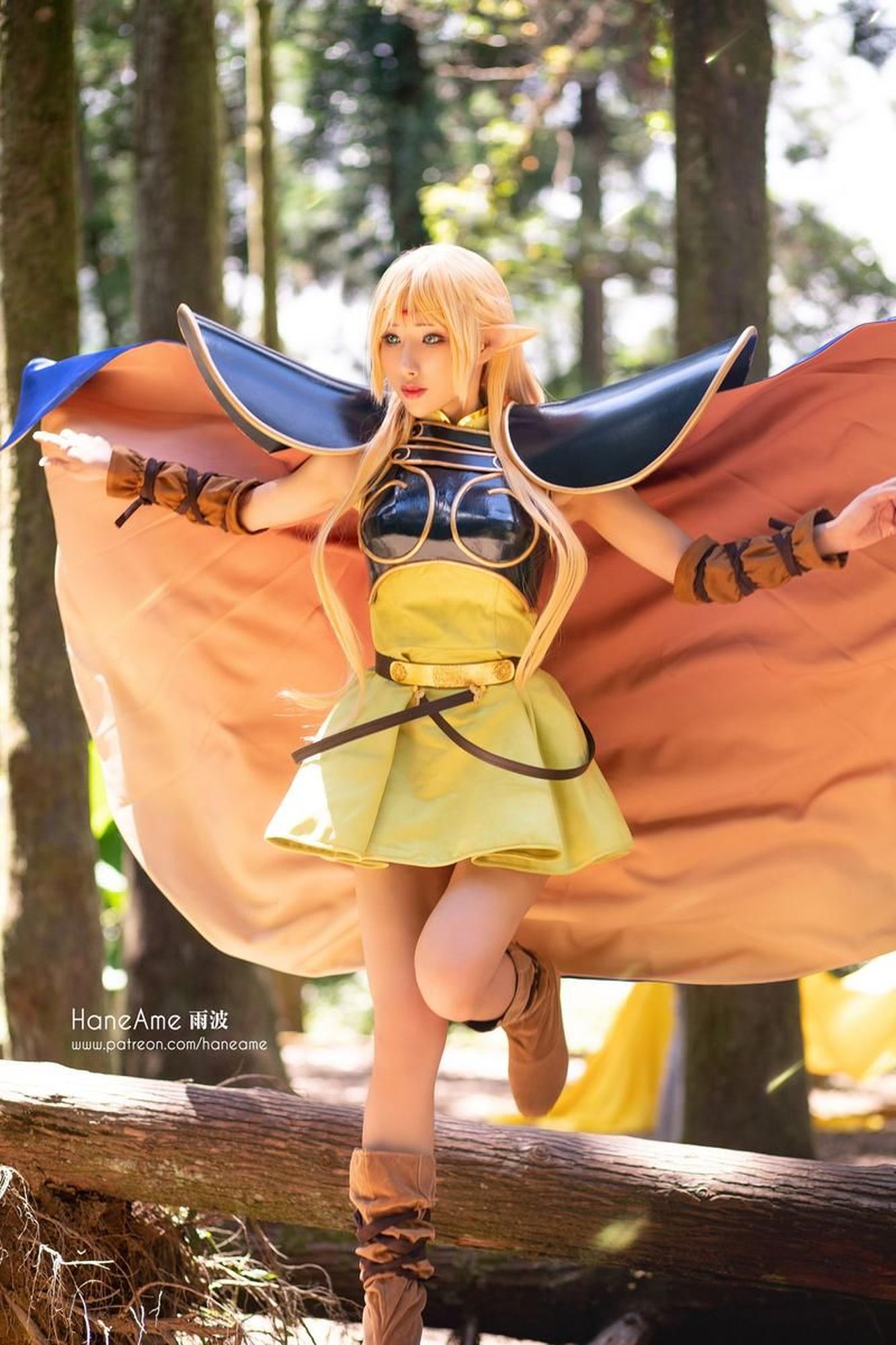 图片[6]-No.035-Record of lodoss Deedlit [6P]-coswz-cos王者