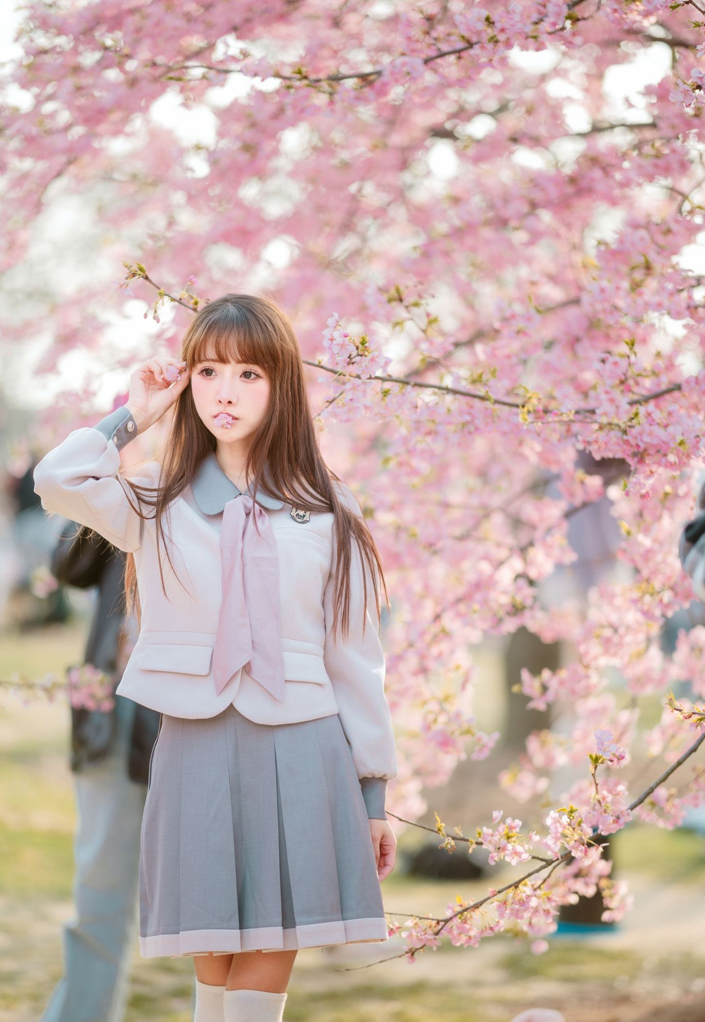 图片[6]-No.093 – 「紫氯氯」樱花下的JK少女 [18P]-coswz-cos王者