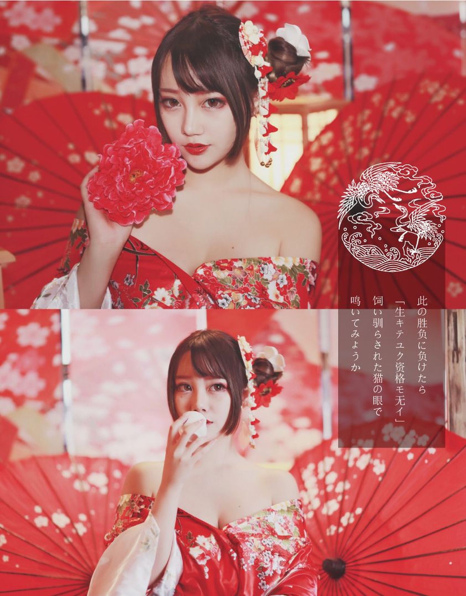 图片[4]-No.295 – 「Halo_酱」爱宕新春旗袍 [17P]-coswz-cos王者