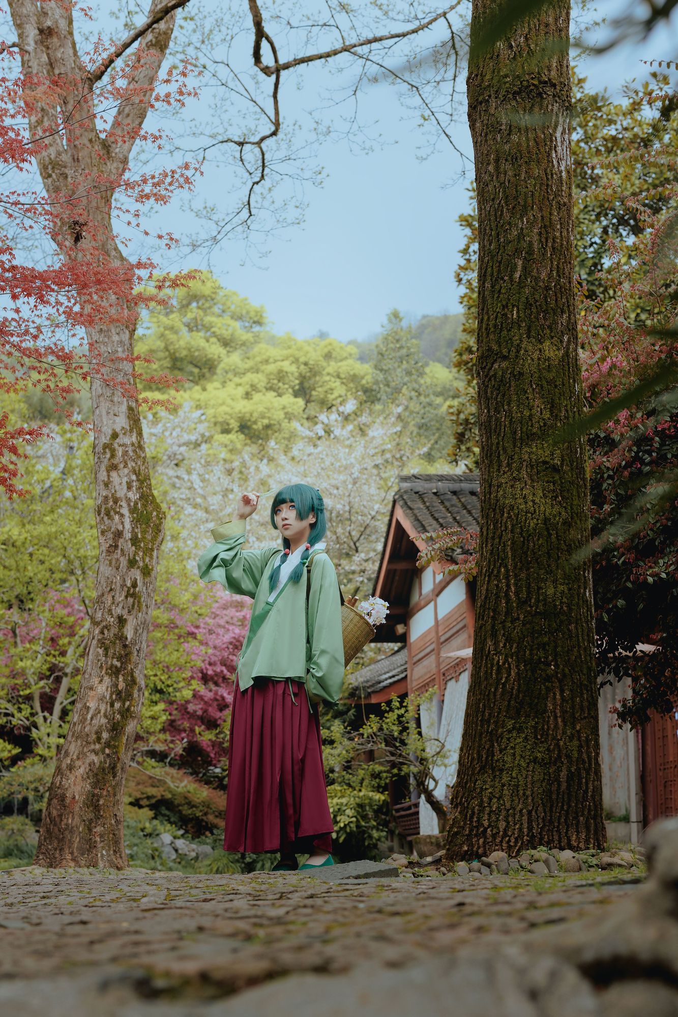 图片[3]-No.006 – 药屋少女的呢喃 猫猫 [52P]-coswz-cos王者