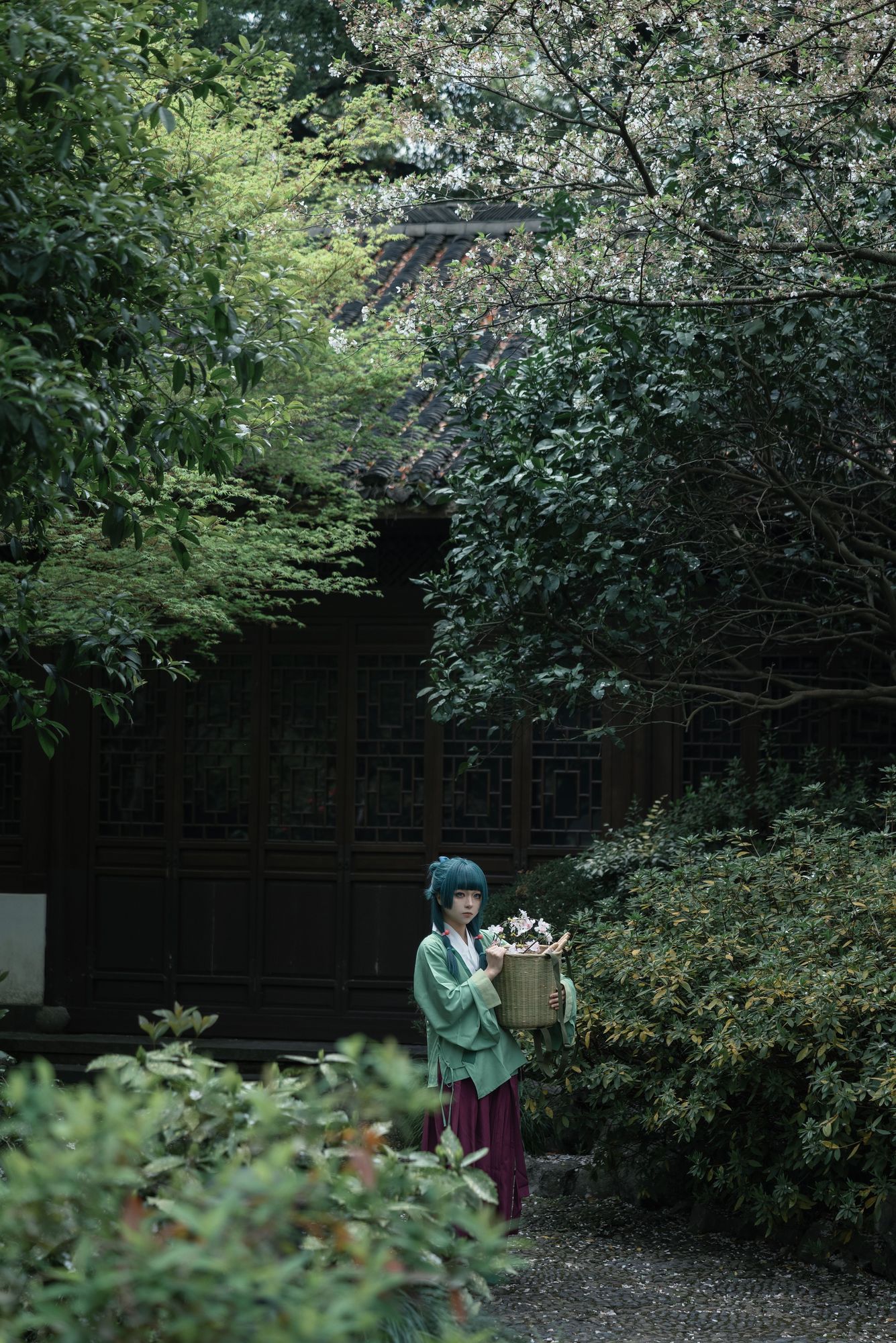 图片[4]-No.006 – 药屋少女的呢喃 猫猫 [52P]-coswz-cos王者