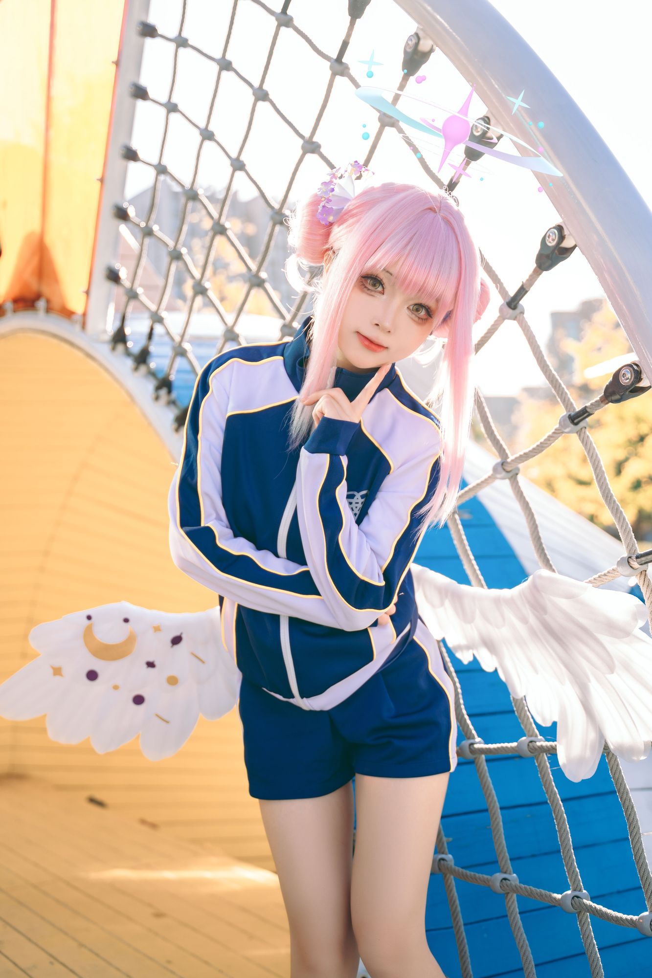 328-矢量鱼 -coswz-cos王者