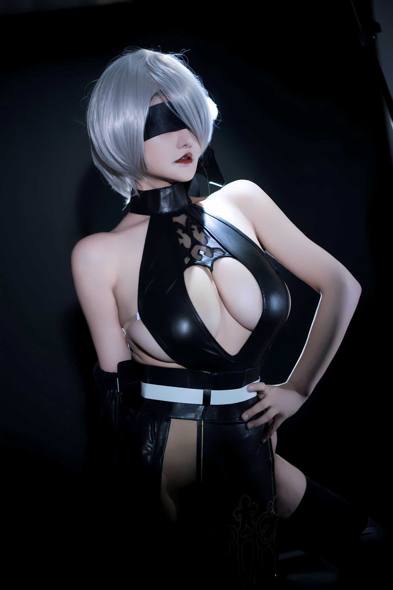 No.011 – 尼尔 寄叶2号B型 [53P]-coswz-cos王者