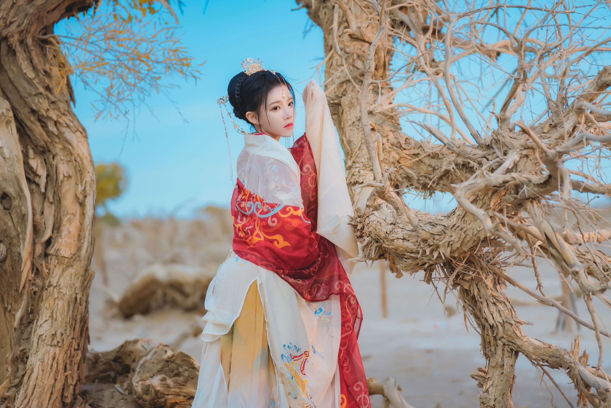 No.251 - 惊鸿 [15P]-coswz-cos王者