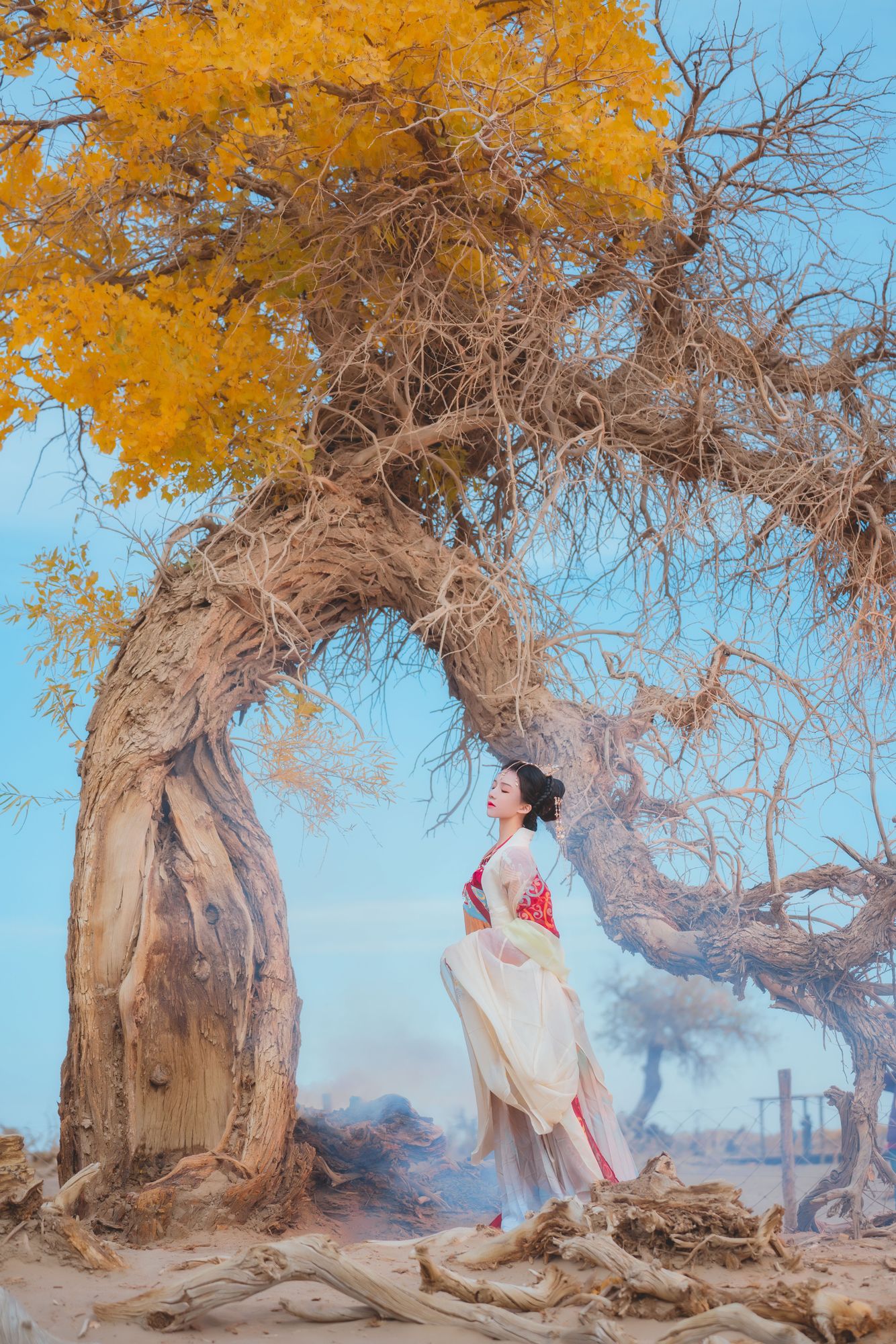 图片[3]-No.251 – 惊鸿 [15P]-coswz-cos王者