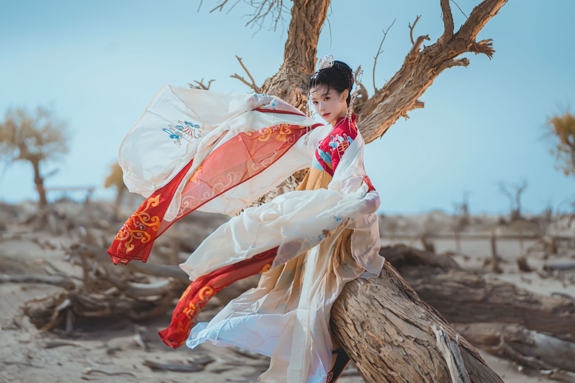 图片[4]-No.251 – 惊鸿 [15P]-coswz-cos王者