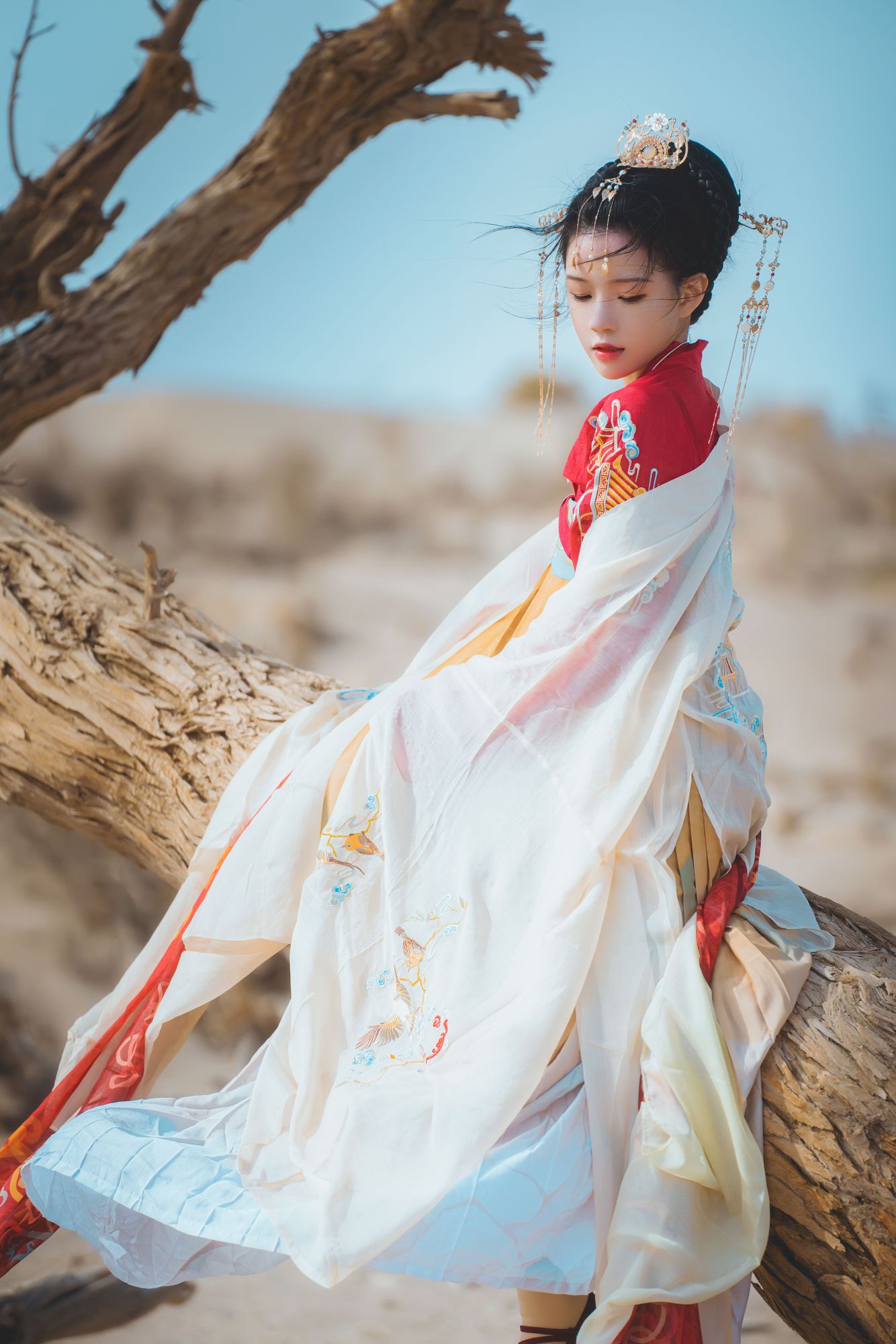 图片[6]-No.251 – 惊鸿 [15P]-coswz-cos王者