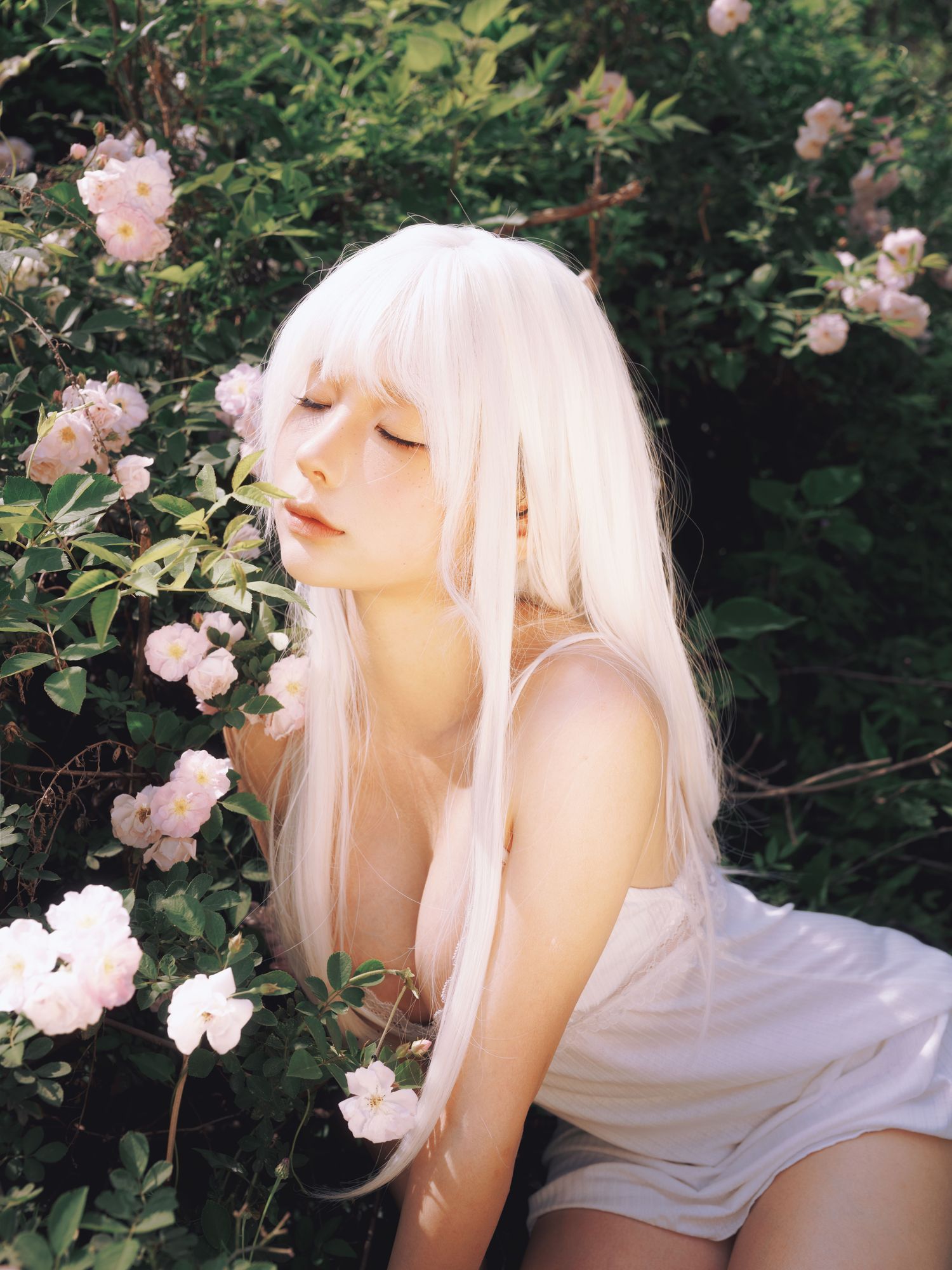 No.317 - 2024年会员 绳+白发 [16P]-coswz-cos王者