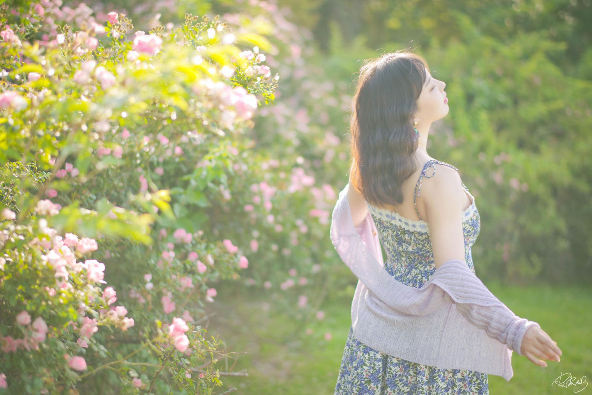 图片[3]-No.062 – 蔷薇花 [37P]-coswz-cos王者