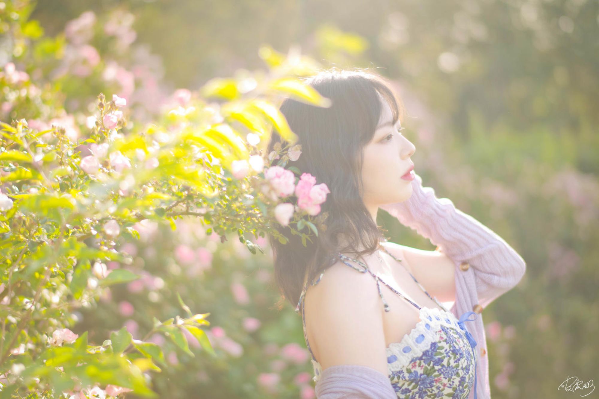 图片[6]-No.062 – 蔷薇花 [37P]-coswz-cos王者