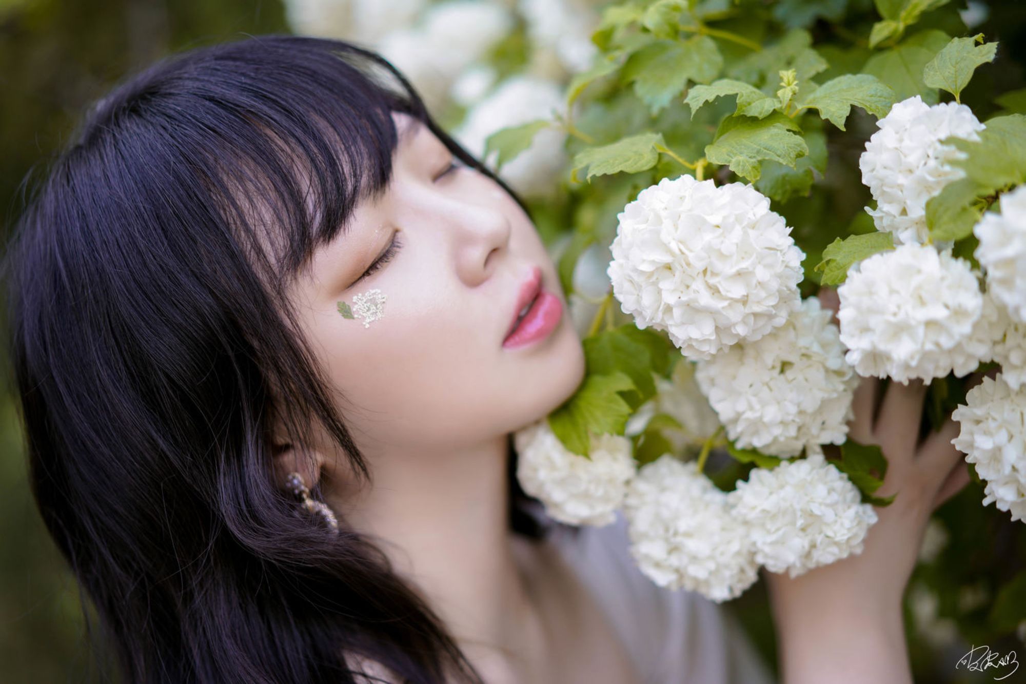 No.067 - 绣球花 [36P]-coswz-cos王者