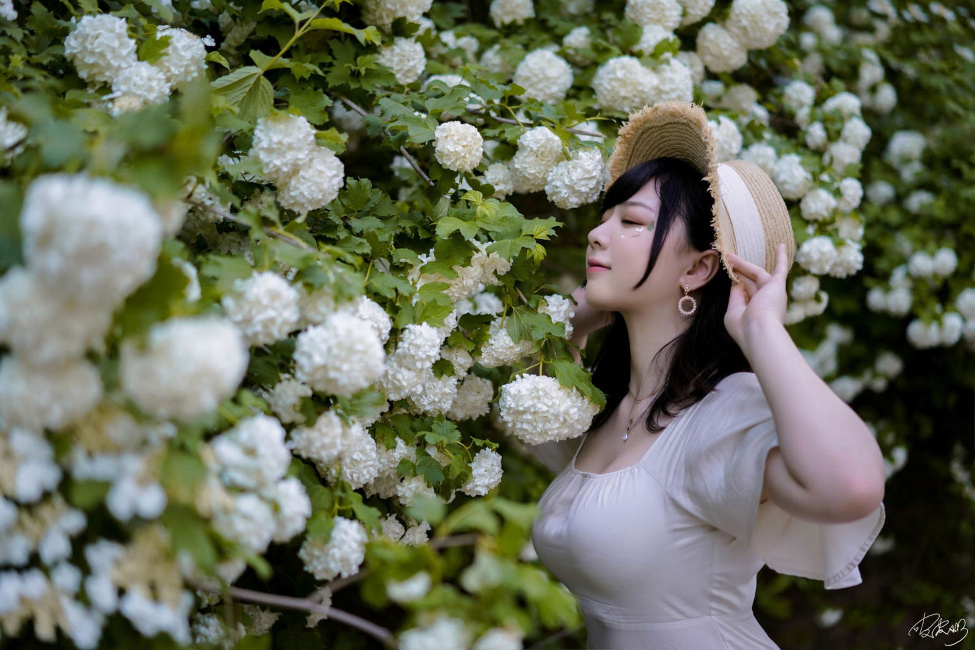 图片[5]-No.067 – 绣球花 [36P]-coswz-cos王者