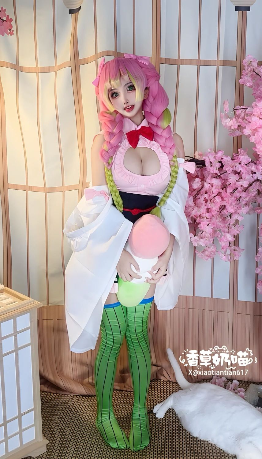 图片[6]-No.016 – 鬼灭之刃 甘露寺蜜璃·典藏版 [204P 71V]-coswz-cos王者