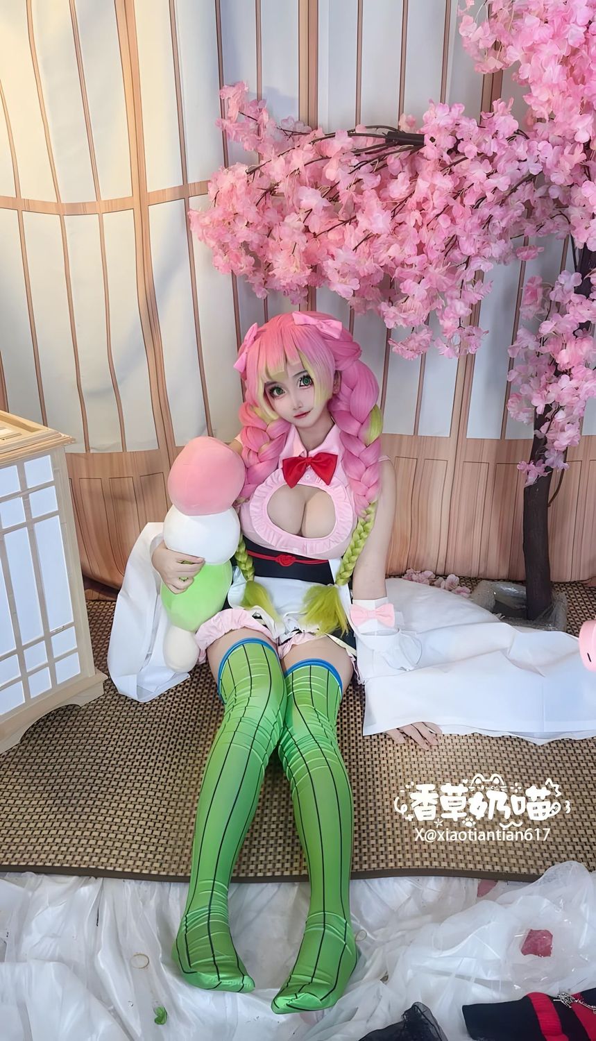 图片[9]-No.016 – 鬼灭之刃 甘露寺蜜璃·典藏版 [204P 71V]-coswz-cos王者