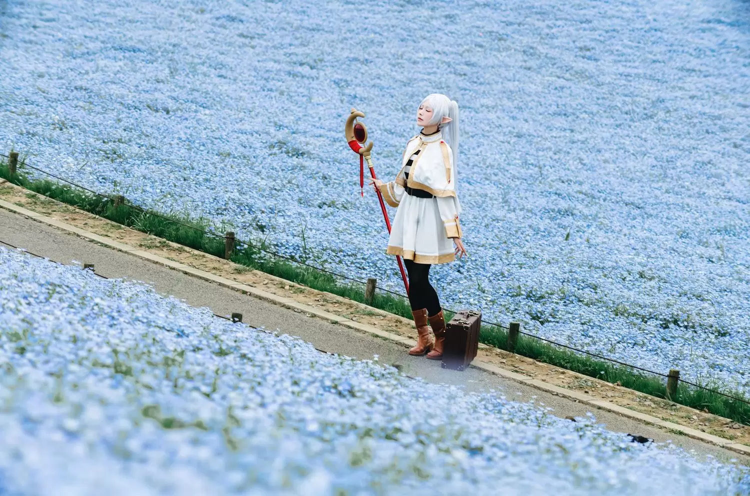 图片[3]-No.122 – 葬送的芙莉莲 花海 [60P]-coswz-cos王者